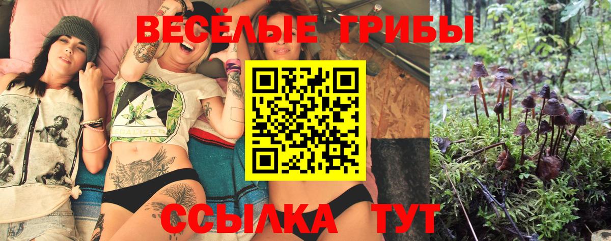 Галлюциногенные грибы ЛСД Уварово